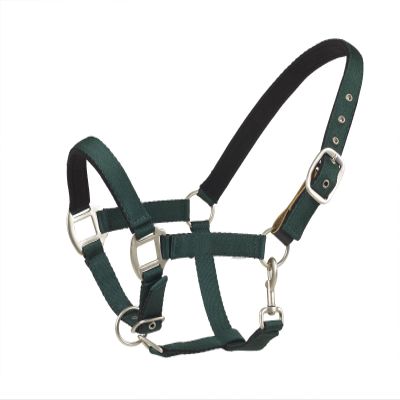 CENTAUR Solid Cushion Padded Breakaway Halter