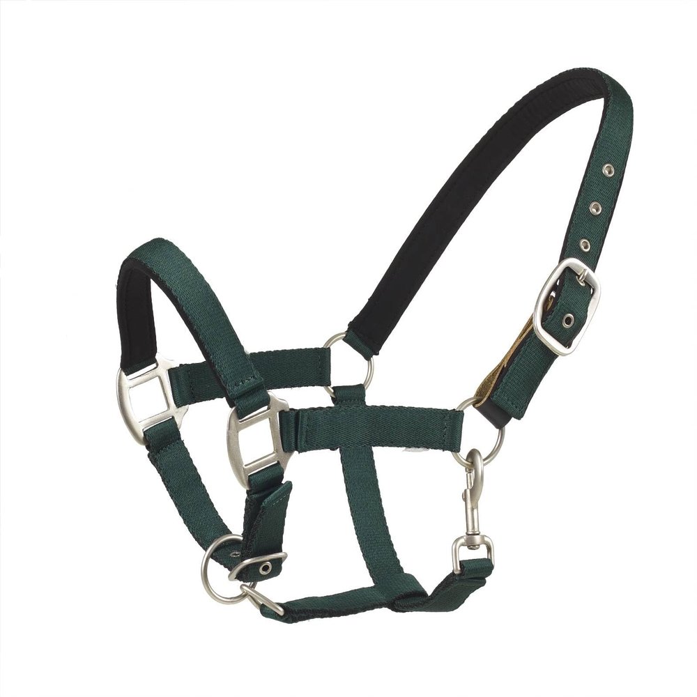 centaur Solid Cushion Padded Breakaway Halter