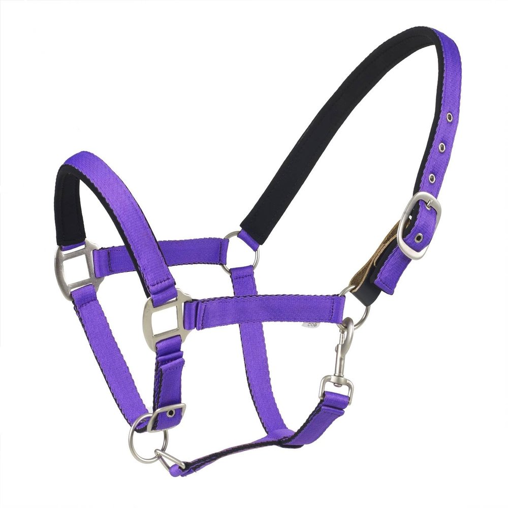 CENTAUR Solid Cushion Padded Breakaway Halter