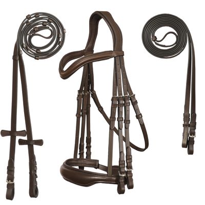 Exion Double Dressage Bridle Designed for Horses with Two Leather Reins