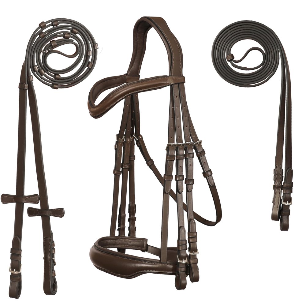 Exion Double Dressage Bridle Designed for Horses with Two Leather Reins