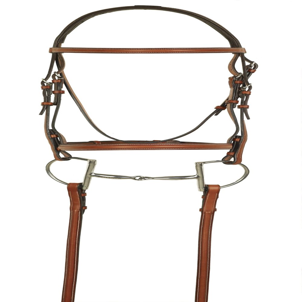 ARAMAS Plain Raised Bridle with Lace Reins