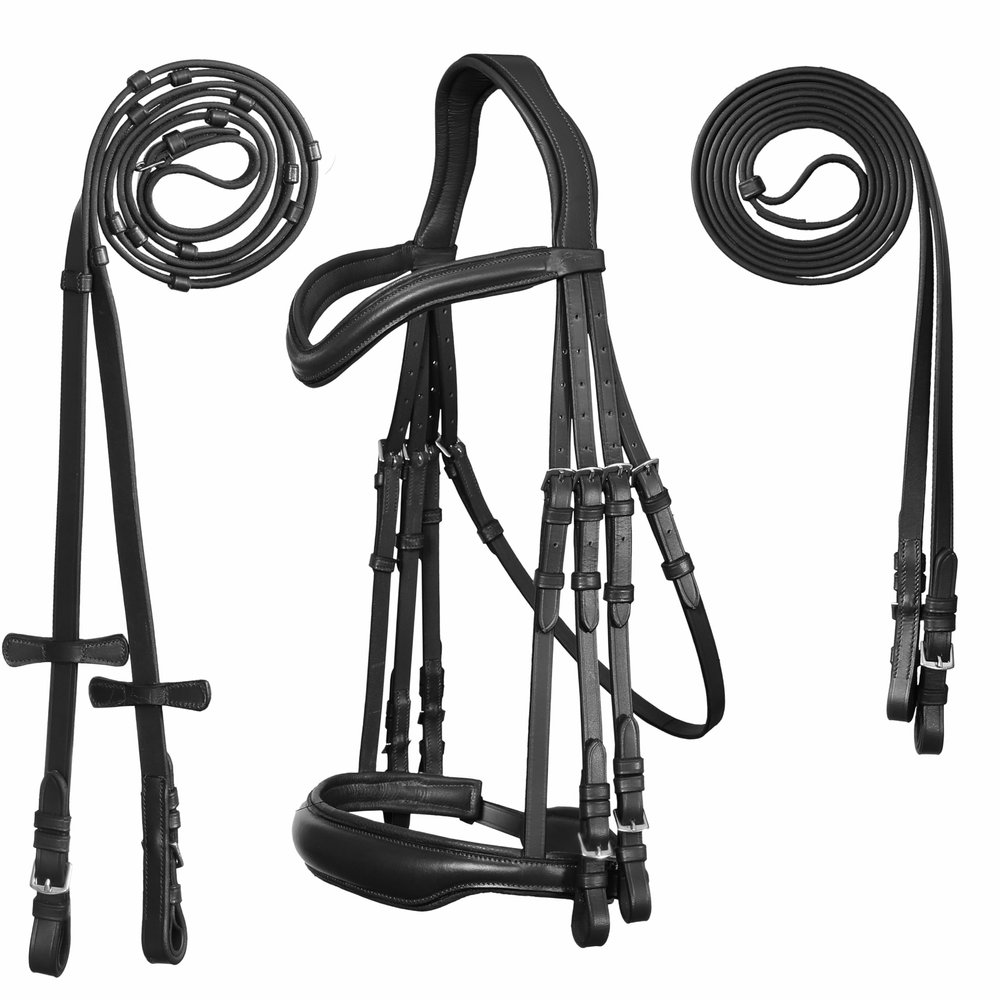 Exion Double Dressage Bridle Designed for Horses with Two Leather Reins