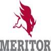 Meritor Genuine Arvin Allfit Tandem - R873030C view 1