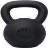 Apollo Athletics 1-Piece Solid Cast Iron Kettlebells - Ideal for Strength Training, Building Muscles, 50LB view 1