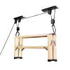 Misc 2-Pack Rad Cycle Products Bike Lift Hoist Garage MTN Bicycle 100lb Cap Metal view 3