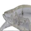 Adusta Jerk Spiker, 130#022, Permark Trout view 3