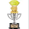 Crown Awards Softball Trophy, 14" Silver Cup Softball Trophies, Enter Your Own Engraving, 10 Pack Prime view 1