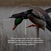 Avian-X Powerflight Smart Motion Mallard Spinning Wing Duck Decoy, Ideal for Hunting, Outdoor, Wasp, Deer, Bee Deterrent, Fake Call, Animal Scare view 4
