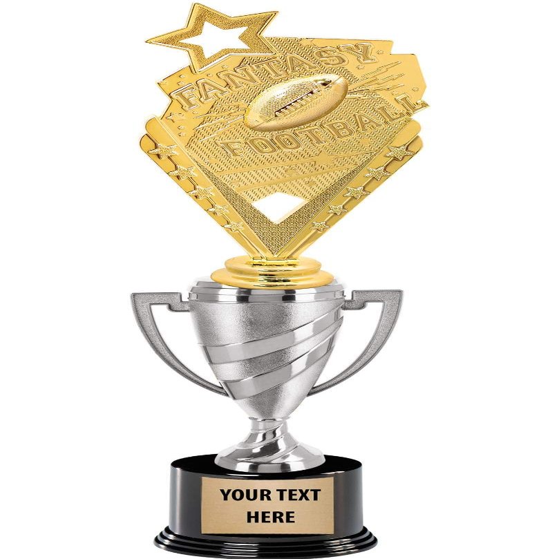 Crown Awards Fantasy Football Trophy, 14" Silver Cup Fantasy Football Trophies, Enter Your Own Engraving, 10 Pack