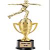 Crown Awards Ice Skating Trophy, 14" Gold Cup Male Ice Skating Trophies, Enter Your Own Engraving, 5 Pack Prime view 1