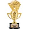Crown Awards Volleyball Trophy, 14" Gold Cup Volleyball Team Trophies, Enter Your Own Engraving, 5 Pack view 1