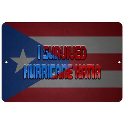Makoroni - I Survived Hurricane Katia Puerto Rican Design 8x12 inc Aluminum Decorative Wall Street Sign