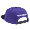 Mitchell & Ness Men's Los Angeles Lakers Team Adjustable Snapback Cap view 2