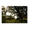 Ameristep Gunner Lightweight Durable 58" x 56" x 57" Compact Size 1-Person Capacity Portable Hunting Ground Blind - Mossy Oak Break-Up Country view 3