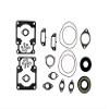 Complete Gasket Kit Snowmobile Arctic Cat Cheetah 530 El Tigre EXT 09-711063D 711063D view 1