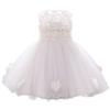 Baptism Dresses for Baby Girls Infant Christening Wedding Bridesmaid Tutu Tulle Princess Lace Floral Embroidery 1st 2nd Birthday Party Pageant Easter Formal Dedication Ruffle Summer Gown White 6-12M view 1