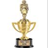 Crown Awards Military Trophy, 14" Gold Cup Female Military Trophies, Enter Your Own Engraving, 10 Pack view 1