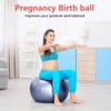 PRIMASOLE Exercise Ball for Balance Stability Fitness Workout Yoga Pilates at Home Office & Gym 75cm Indigo Blue view 3