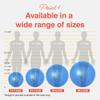 PRIMASOLE Exercise Ball for Balance Stability Fitness Workout Yoga Pilates at Home Office & Gym 55cm Blue view 2