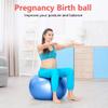 PRIMASOLE Exercise Ball for Balance Stability Fitness Workout Yoga Pilates at Home Office & Gym 55cm Blue view 3