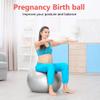 PRIMASOLE Exercise Ball for Balance Stability Fitness Workout Yoga Pilates at Home Office & Gym 75cm Silver Gray view 3
