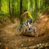Teravail - Ehline Bicycle Tire | 29 x 2.3 | Light and Supple | Tan Sidewall view 4