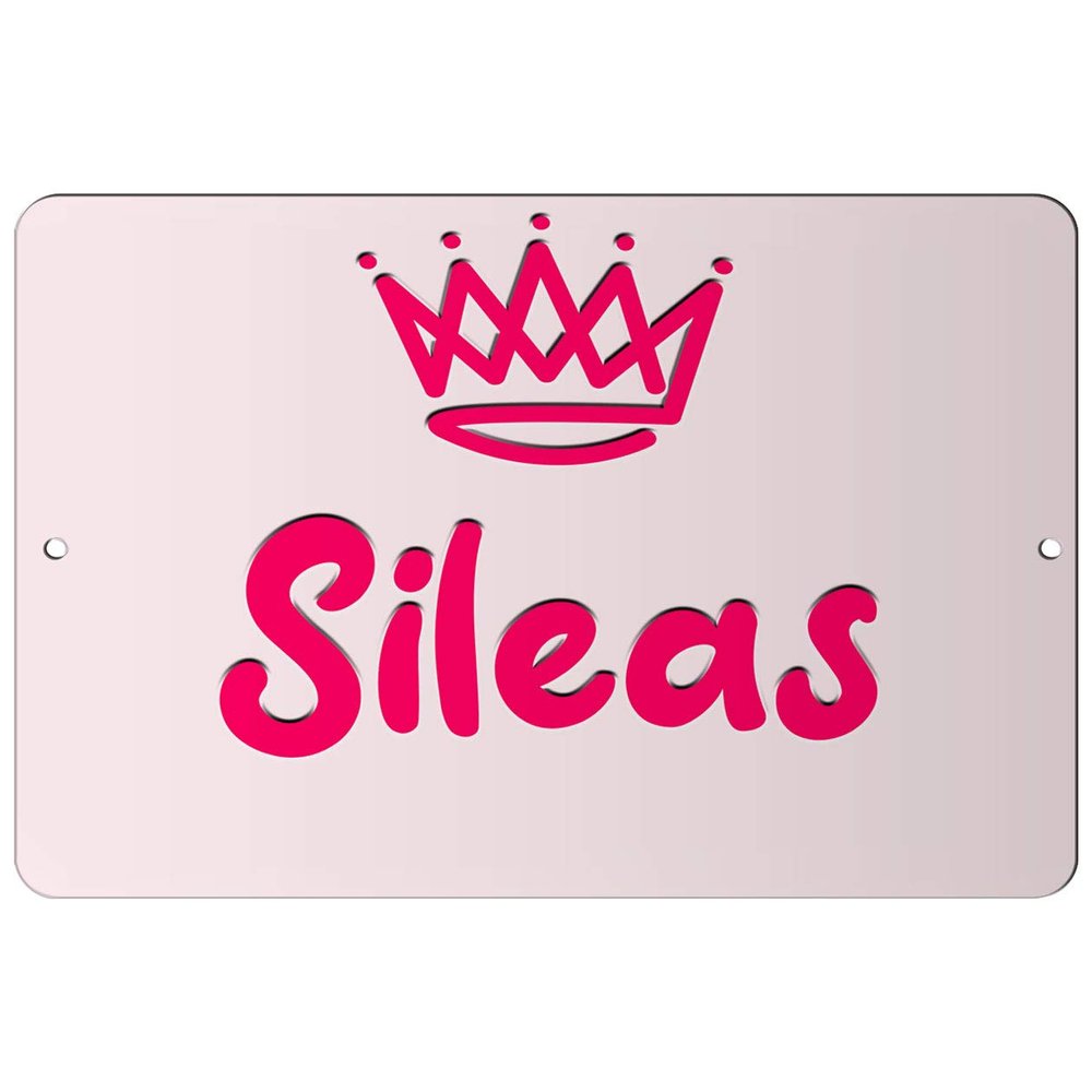 Makoroni - Sileas Girl Female Name 12x18 inc Aluminum Decorative Wall Street Sign