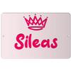 Makoroni - Sileas Girl Female Name 12x18 inc Aluminum Decorative Wall Street Sign view 1