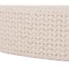 Country Brook Design - 1 Inch Natural Super Heavy Blended Webbing, 50 Yards view 2
