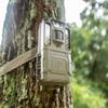 Bushnell Prime Low Glow Trail Camera - 24MP Image Quality, 1080p HD Video, Advanced Sensor Technology for Clear Nighttime Captures, Brown view 4