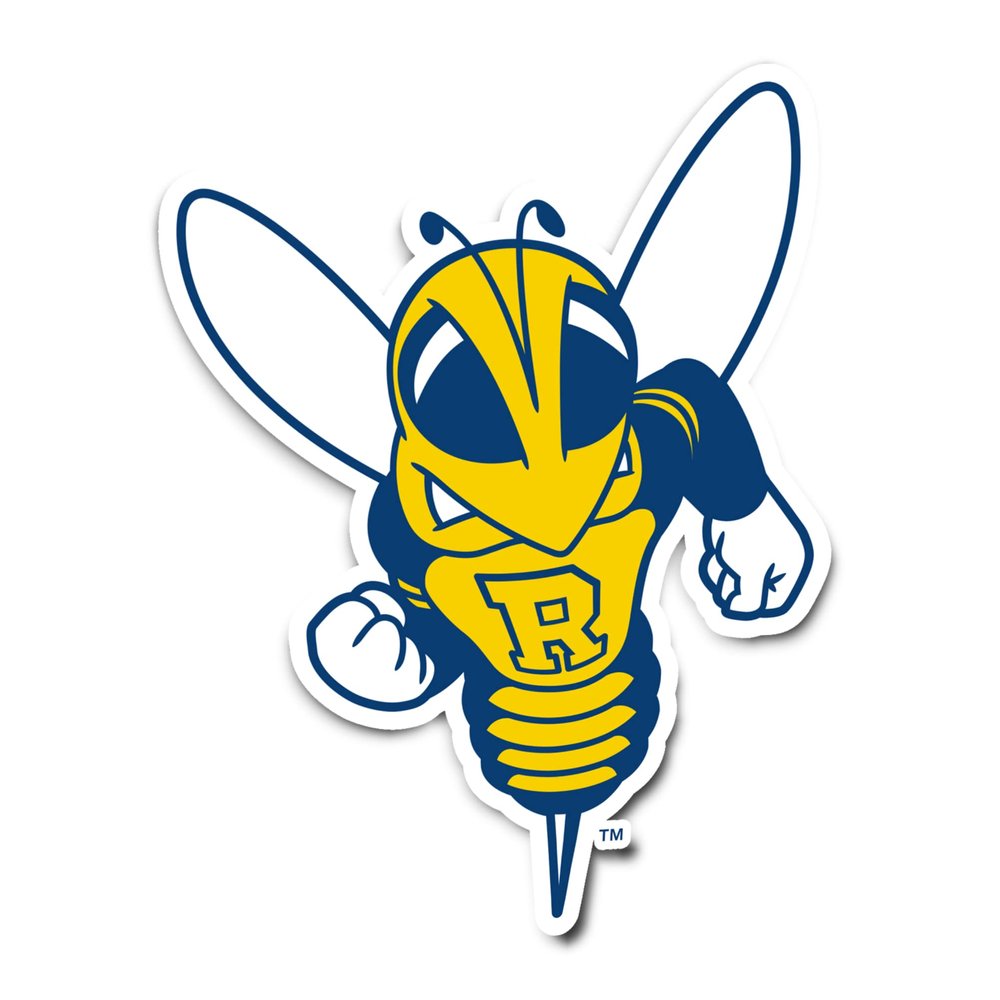 Desert Cactus University of Rochester Sticker Yellowjackets Vinyl Decal Laptop Water Bottle Car Scrapbook (IND 004)