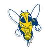 Desert Cactus University of Rochester Sticker Yellowjackets Vinyl Decal Laptop Water Bottle Car Scrapbook (IND 004) view 1