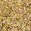 Evolved Harvest 5 Card Draw Food Plot Seed - All Season Long High-Protein & Minerals Forage for Deer, Green view 3