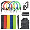 16Pcs Resistance Bands Set with Exercise Bands view 1
