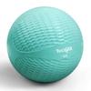 Yes4All Weighted Toning Balls for Exercise, Soft Medicine Balls for Exercise, Pilates, Yoga, Balance, Flexibility, 2-10lbs view 1