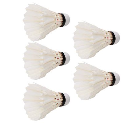Aramox Badminton Ball, 5PCS Badminton Balls Shuttlecocks for Outdoor Indoor Training