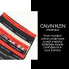 Calvin Klein Kids Boys' Modern Cotton Boxer Brief Underwear 4-Pack, White Blue Stripe, Medium view 4