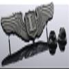 Liaison Pilot 2 1/2 inch Hat or Lapel Pin HON16068 F3D32L view 2