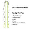 AIPRODA Sports Stretching Strap with12 Loops for Physical Therapy, Yoga, Exercise and Flexibility - Non Elastic Fitness Stretch Band + Exercise Instructions & Carry Bag (Light Green&Grey) view 2