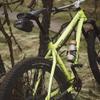 PNW Components Cascade Dropper Post, 125/150/170mm Travel, External Routing, 31.6/150mm (NO Lever KIT ) view 2