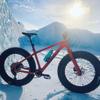 PNW Components Pine 27.2mm Dropper Post, External Routing, 90mm (NO Lever Kit) view 4