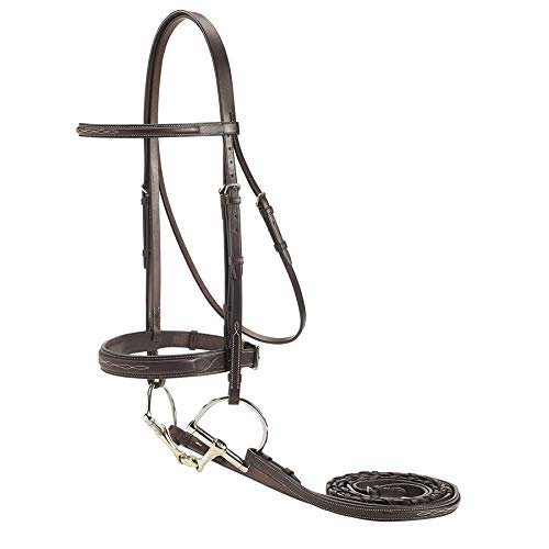 Dover Saddlery Classic Derby Bridle, Oversize-O/S, Oakbark
