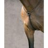 DS - Hunter Breastplate, Color: Medium Brown, Size: Horse view 1