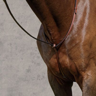 Suffolk Raised Standing Martingale, Color: Brown, Size: Pony-P/S