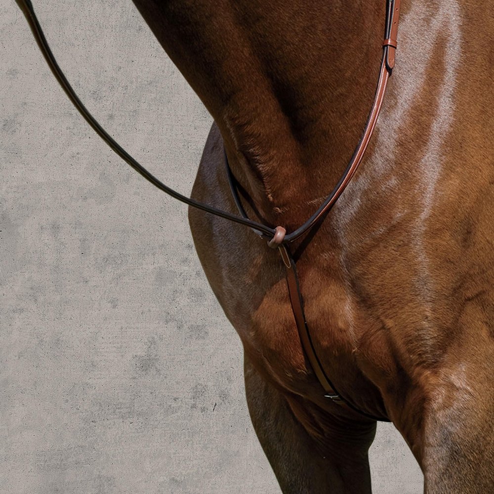 Suffolk Raised Standing Martingale, Color: Brown, Size: Pony-P/S