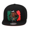 Mitchell & Ness Mexican Flag Snapback Mexico Hat Cap Gorra Black/Green/Red/White view 1