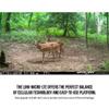 SPYPOINT Cellular Trail Camera - 10MP, 80' Detection, LTE-Capable, 0.5sec Trigger, for Hunting view 4