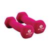 Body Sport Neoprene Dumbbell Weight, 1 lb. (2-Pack) - Latex-Free, Strength Training Equipment for Home Fitness & Gym Workouts (Pink) view 1