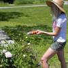 16 oz Coyote Urine- Protect Your Garden with Real Predator Urine, an American Heritage Industries Product view 3